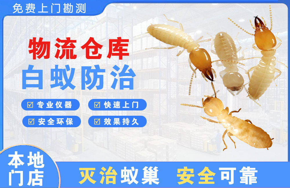 福泉物流仓库白蚁防治