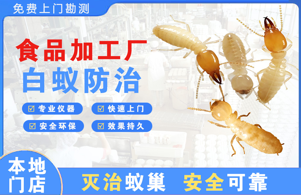 福泉食品加工厂白蚁防治