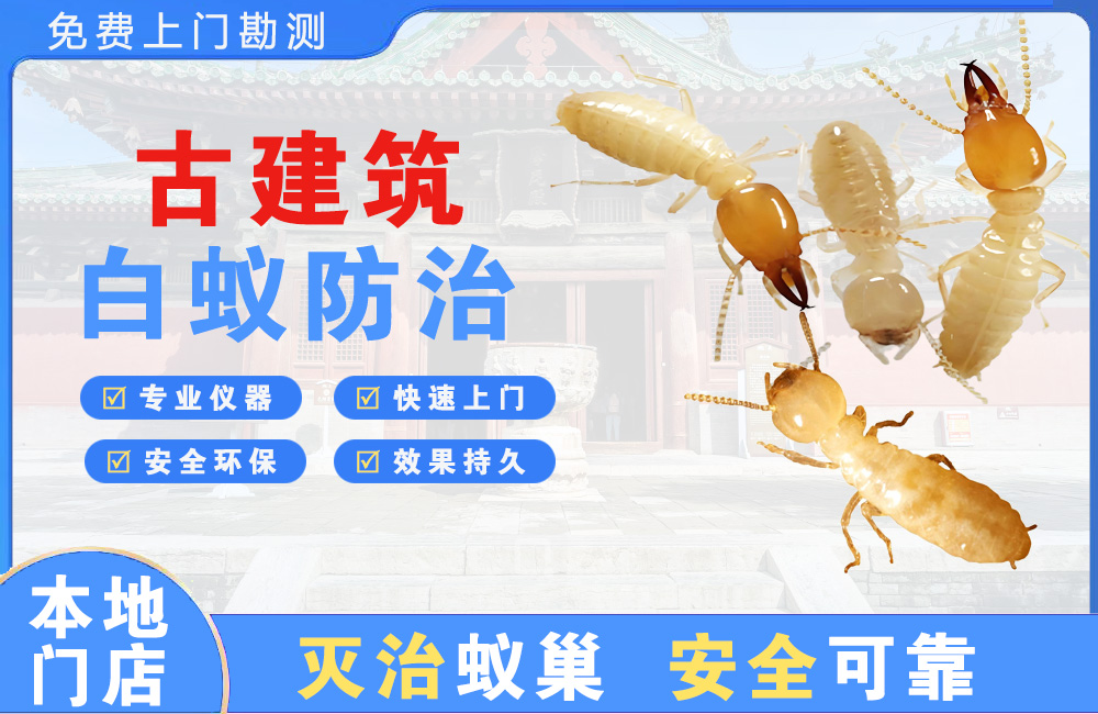 福泉古建筑白蚁防治