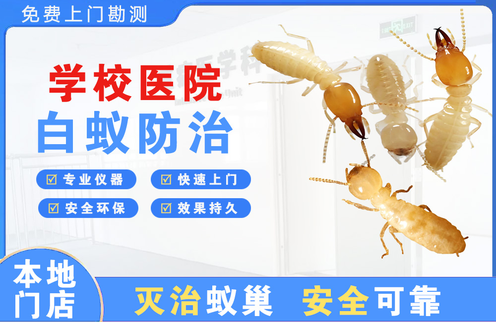 福泉学校医院白蚁防治