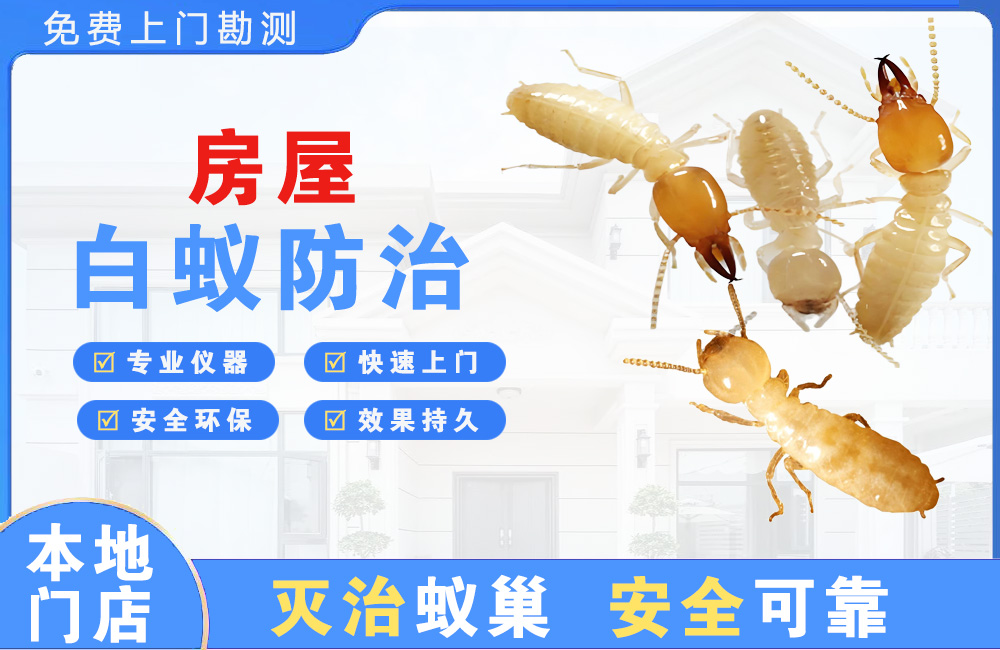 福泉房屋白蚁防治