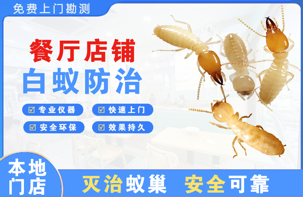 福泉餐厅店铺白蚁防治